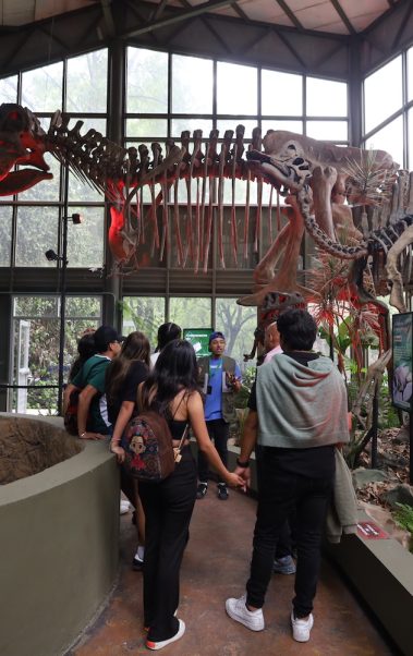 Dinosaurios CDMX
